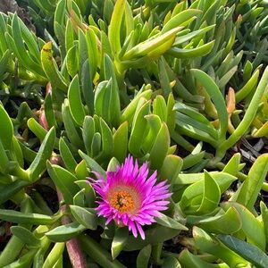 Meet your Posher, Christy